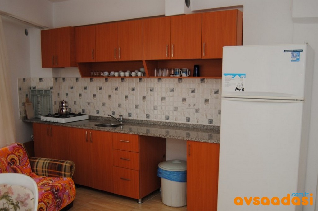 Erdogan-apart-avsa (5)