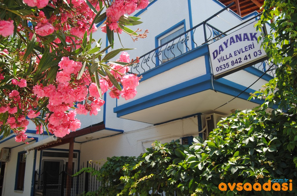 Dayanak Villa