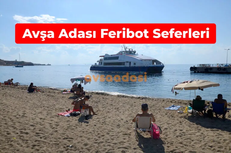 Avşa Adası Feribot Seferleri ve Saatleri 2026