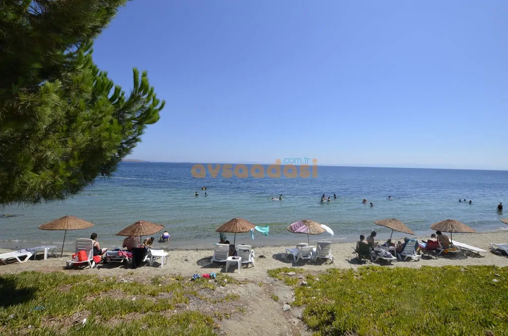tavsanli plaji avsa