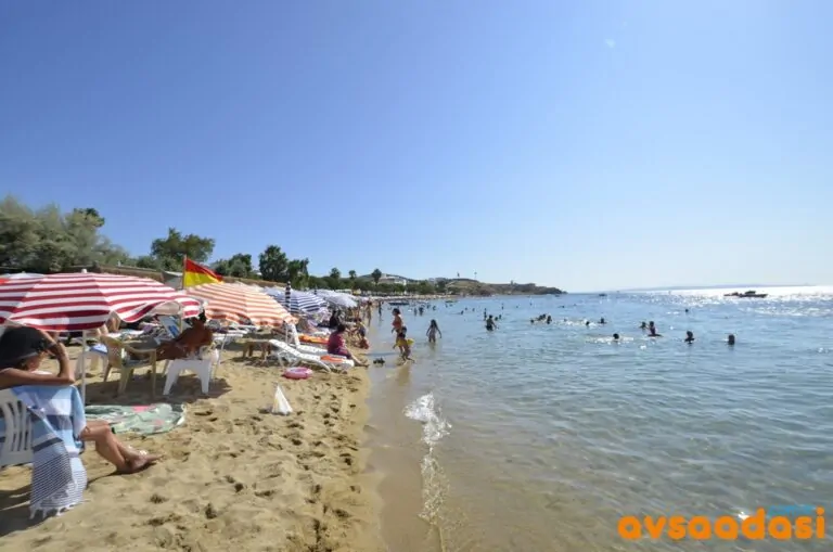 Avşa Adası’nda Evler Neden Bu Kadar Ucuz?
