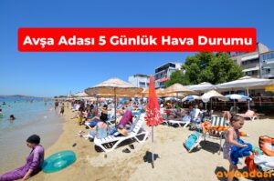 Avşa Hava Durumu 2026 – 5 Günlük Güncel Rapor