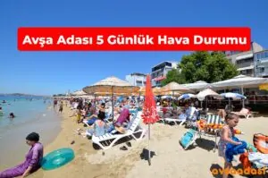 Avşa Hava Durumu 2026 – 5 Günlük Güncel Rapor