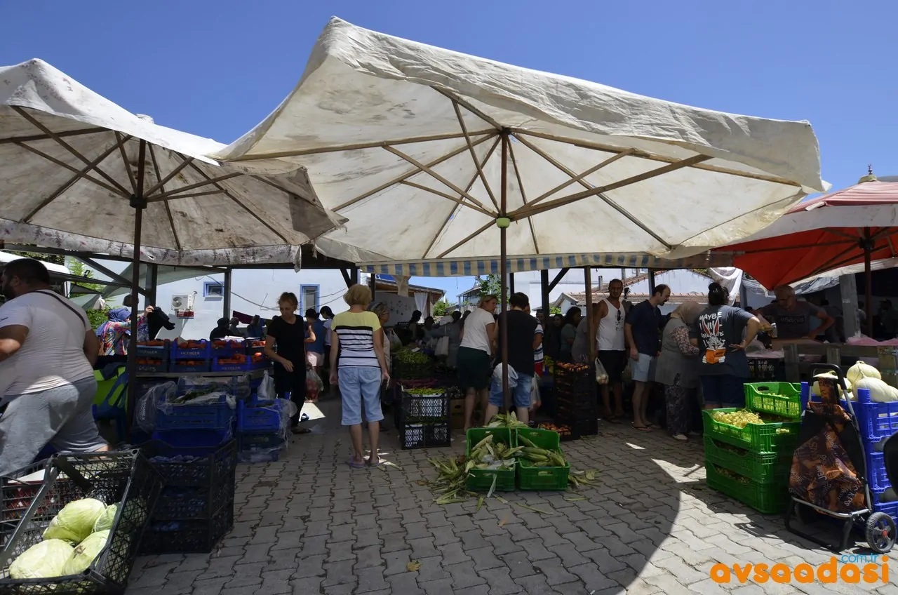 avşa adası organik pazar