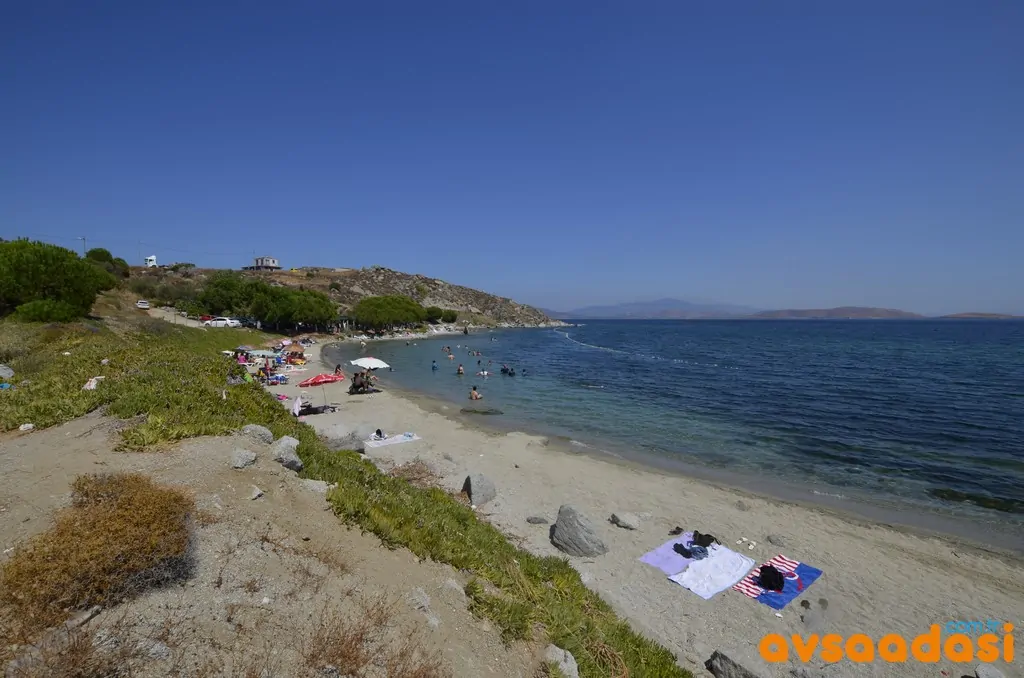 tavşanlı koyu kamp