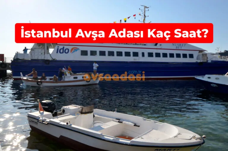 İstanbul Avşa Adası Arası Kaç Saat Sürüyor?