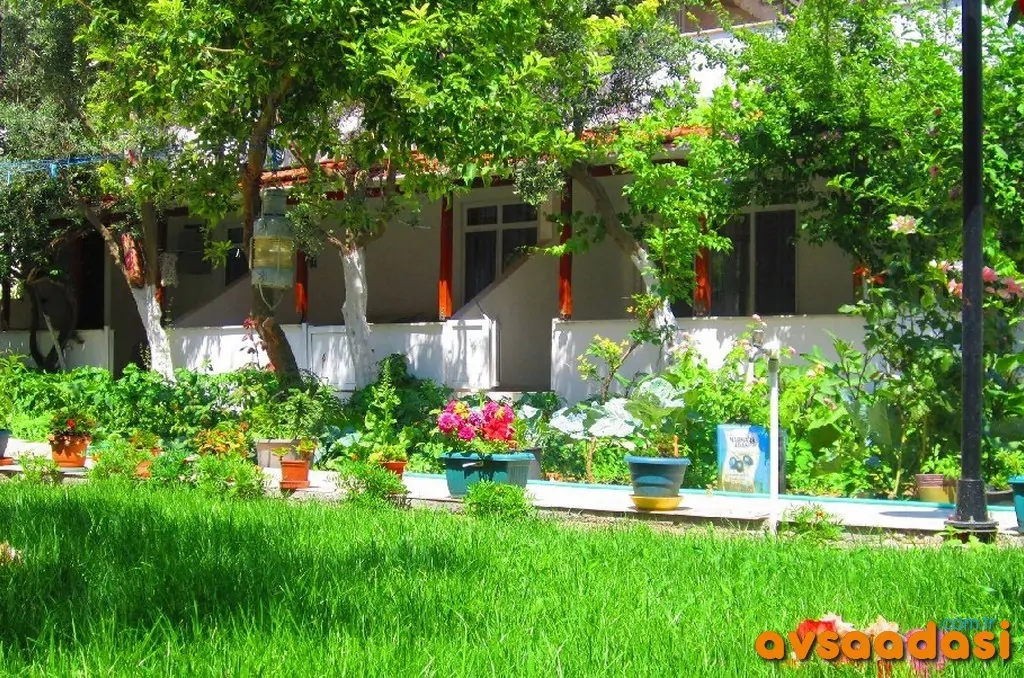 sevim-apart-yigitler-avsa (1)