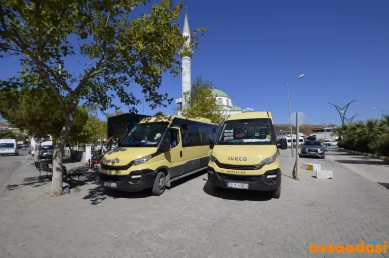 Avşa Adası Minibüs Saatleri 2026