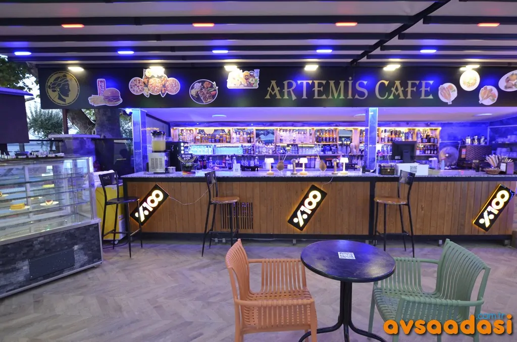 artemis-otel-avsa (50)