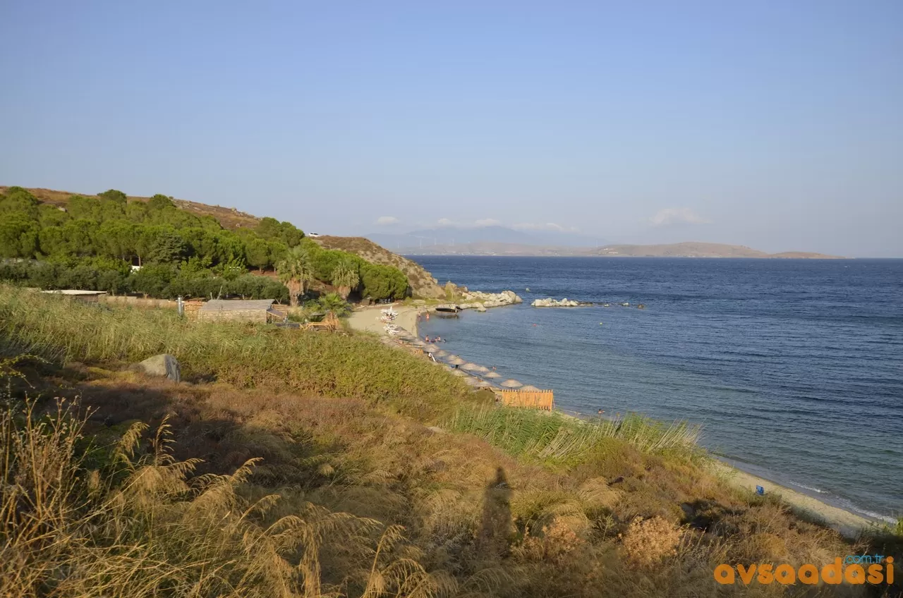 AVŞA PLAJLARI