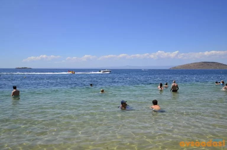 Avşa Adası Aktiviteleri 2026