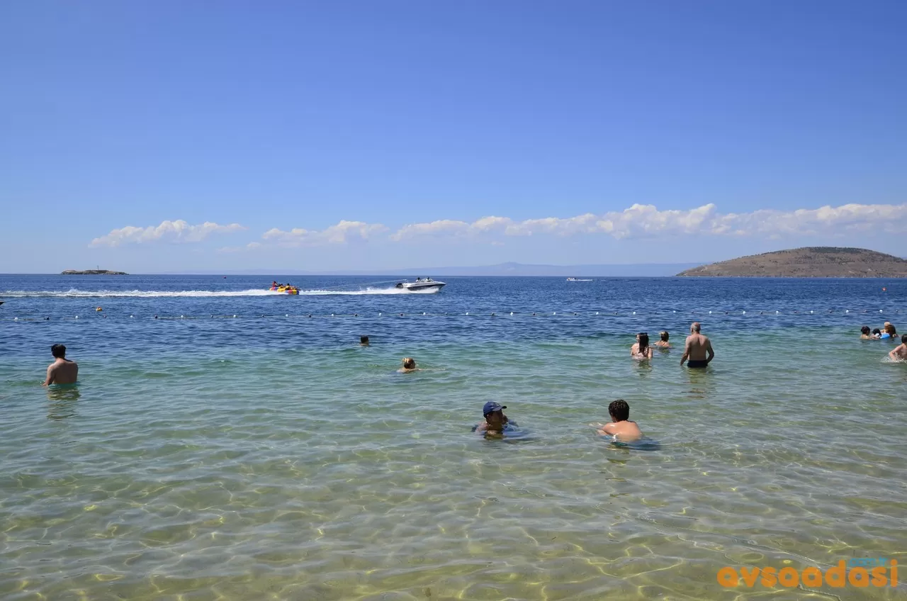 avşa adası etkinlikleri