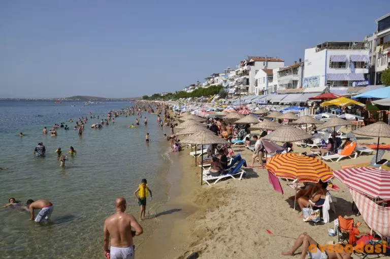 Günübirlik Avşa Adası Turları 2026