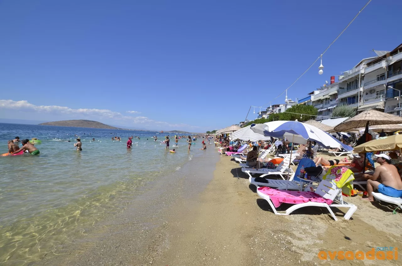 avşa plajı