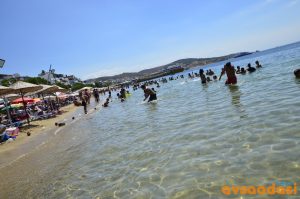 Avşa Adası Kalabalık Mı?