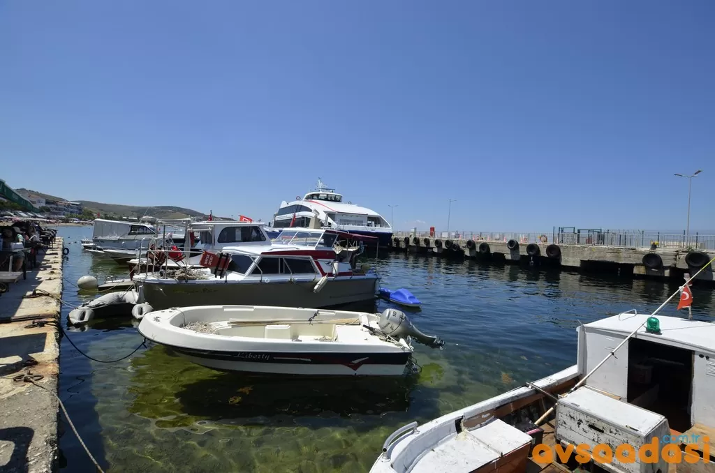 Avşa Adası Günübirlik Gezi Rehberi 2026