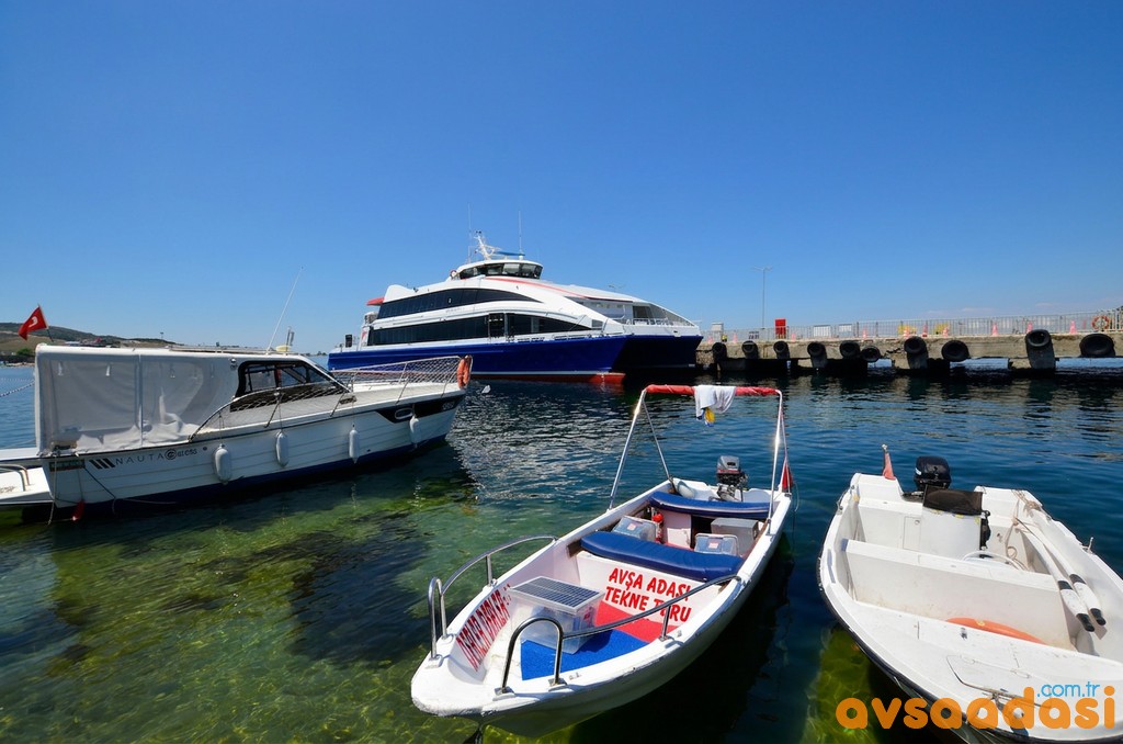 avşa adası tekne turu