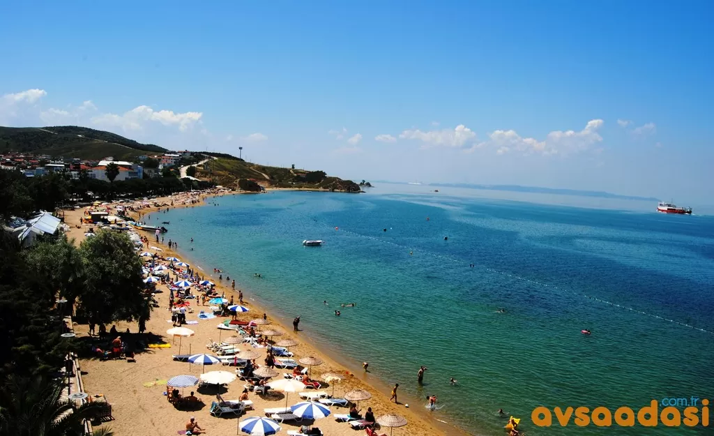 Avşa Adası Coğrafyası