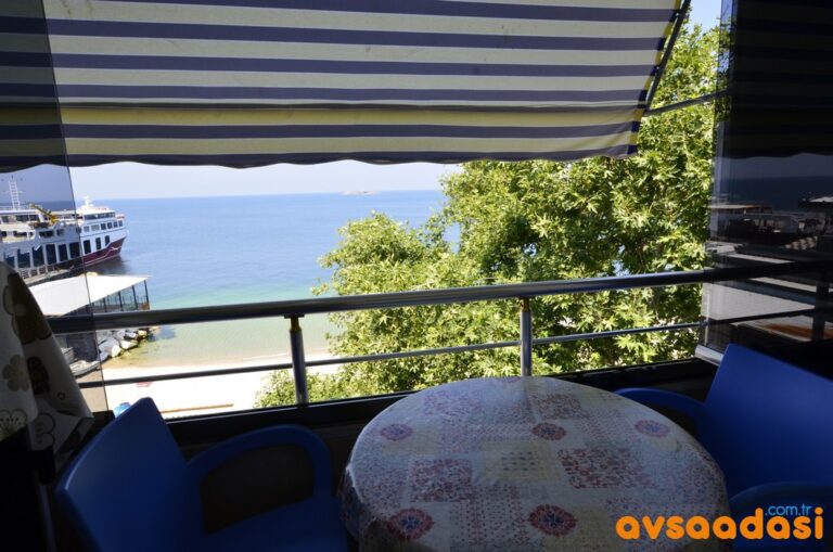 Deniz Yıldızı Kayı Apart